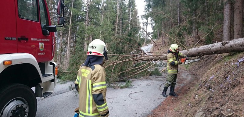 Sturmschaden - Tramser Straße durch Baum gesperrt