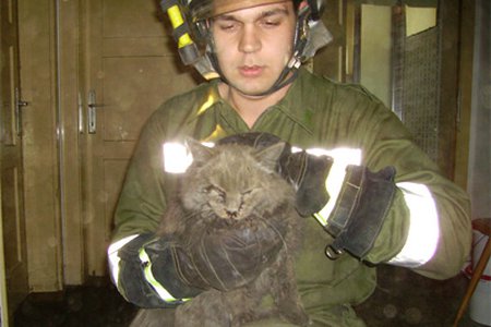 Feuerwehr Landeck rettet Katze aus Kamin