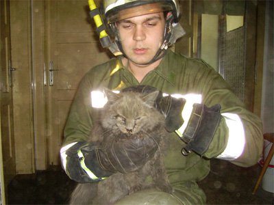Feuerwehr Landeck rettet Katze aus Kamin