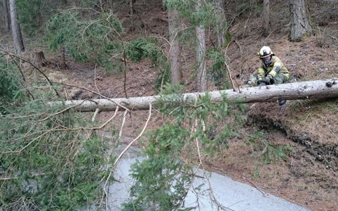 Sturmschaden - Tramser Straße durch Baum gesperrt
