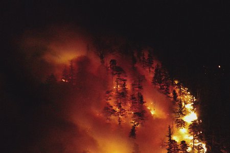 Unterstützungseinsatz beim Waldbrand in Pinswang – Bezirk Reutte